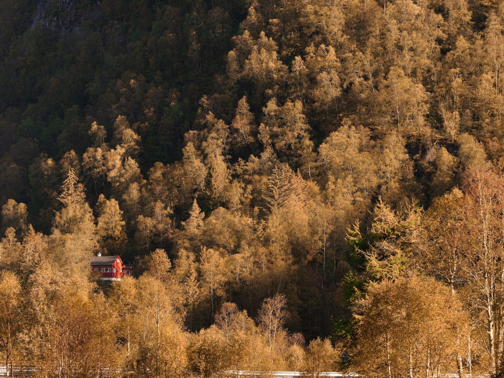 loris fae photographe val d'oise roadtrip norvège