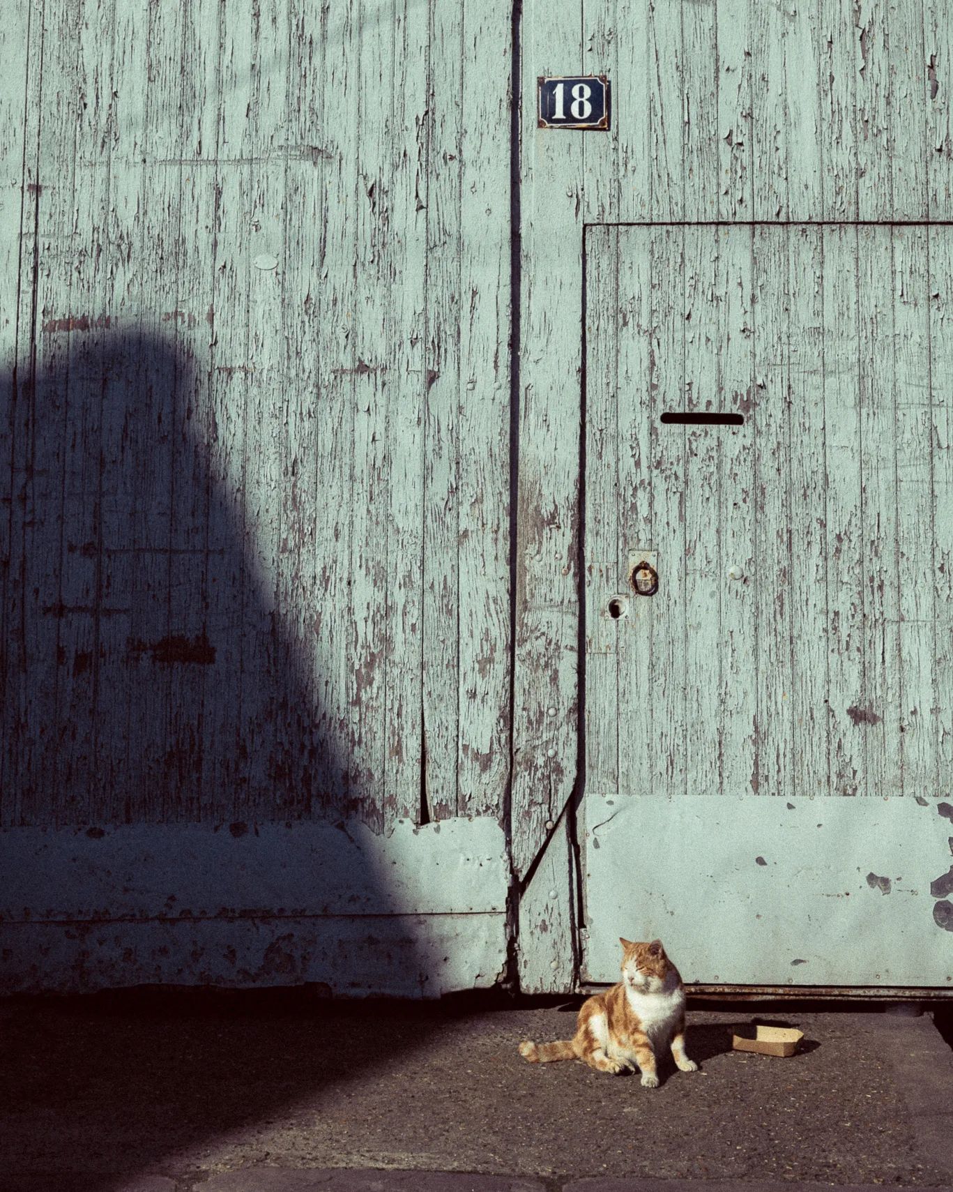 Le chat du 18
.
Lumix S1R x Sigma 45mm
.
#picoftheday #catlover #catstagram #chat #urbex #village #valdoise #streetphotography #lorisfae #lumixs1r #sigma45mmf28contemporary #adobe #urbanphotography #explore_iledefrance #kitten #photoderue #reportage #monsieur615 #shadowhunters #chasethelight #shadows #photographevaldoise